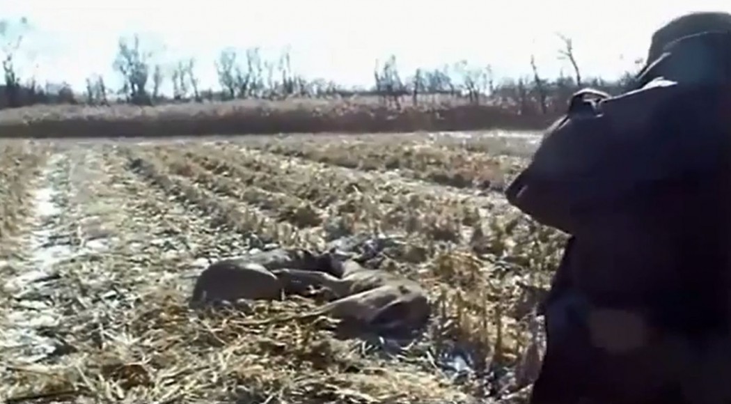 officer-shoots-deer-free_youtube.jpg