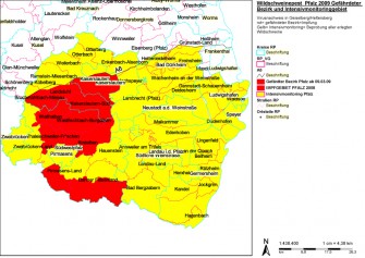 Schweinepest: Neuer Fall bei Frischling in Rheinland-Pfalz