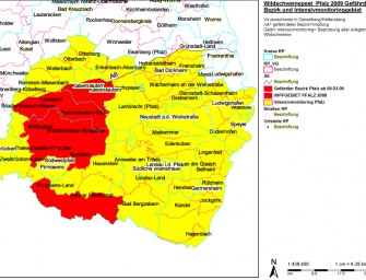 Schweinepest: Neuer Fall bei Frischling in Rheinland-Pfalz