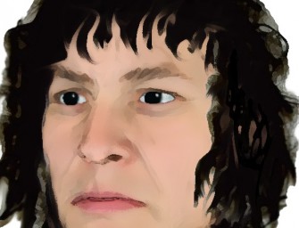 Polizei sucht Hochsitz-Randalierer mit Phantombild