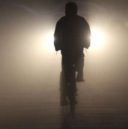 Radfahrer kollidiert mit Dachs