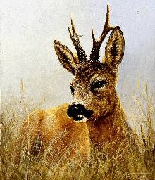 Mecklenburg – Vorpommern: „Kunst für Wald und Wild“ im Forstamt Jasnitz