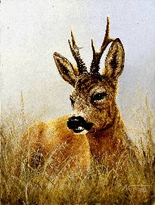 Mecklenburg – Vorpommern: „Kunst für Wald und Wild“ im Forstamt Jasnitz