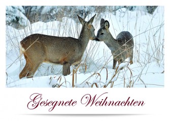 Benefiz-Weihnachtskarten