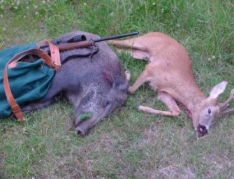 Hessen – Rekordstrecke bei Schwarzkitteln