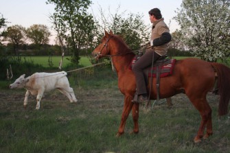Jagd in Wildwest-Manier im Hamdorfer Forst