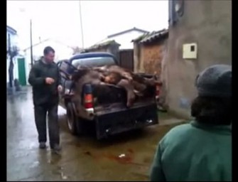 Selber zur Strecke legen