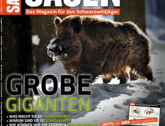 SAUEN  Ab heute am Kiosk!