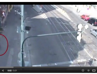 Prager Wildschweinhatz