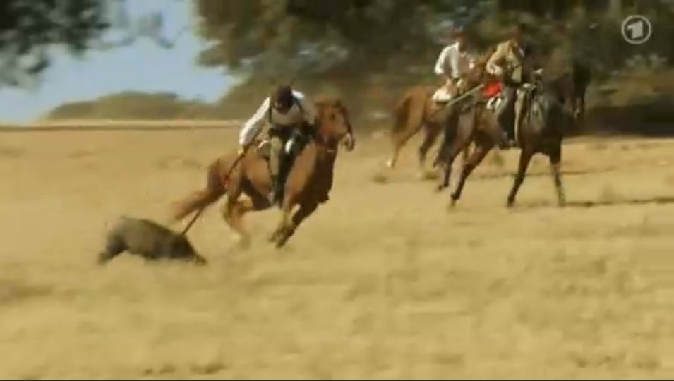 saujagd-zu-pferd-ard.jpg