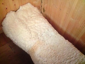 Jäger im Schafspelz