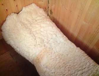 Jäger im Schafspelz