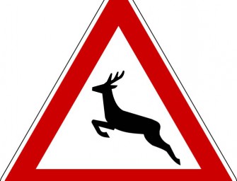 Wilderei am Straßenrand