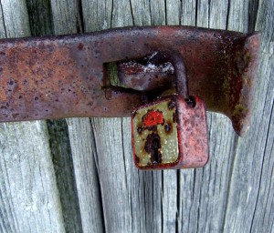 Einbruch bei „Bayerwald“