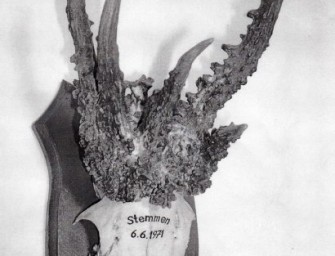 Schmelings Rehbock-Trophäe aus Jagdschloss gestohlen