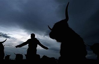Nordrhein-Westfalen: Rinderjagd auf der Bundesstraße