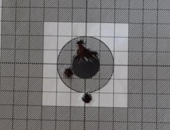 Schweiz – Verordnung für mehr Treffsicherheit