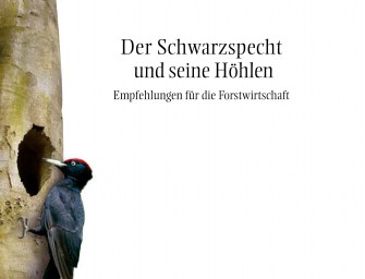 Broschüre mit Empfehlungen zum Höhlenbaumschutz