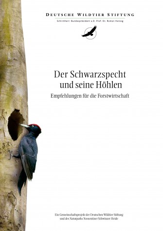 Broschüre mit Empfehlungen zum Höhlenbaumschutz