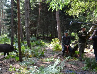 Tierquälerei oder tierschutzgerechte Ausbildung?