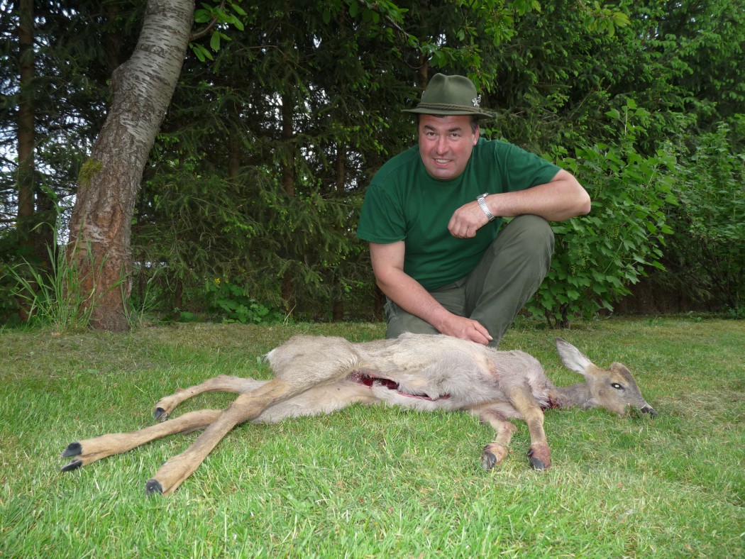 Nickel mit seinem fünfbeinigen Rehbock