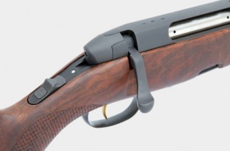 Back to the roots: Steyr SM 12