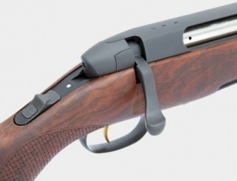 Back to the roots: Steyr SM 12