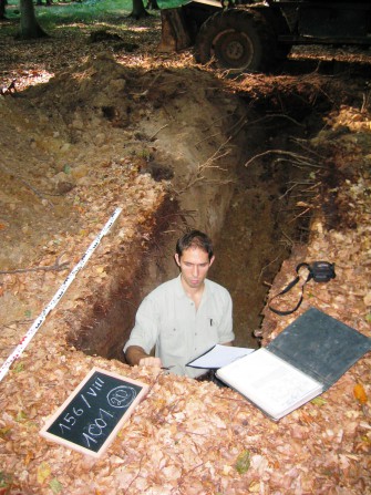 Niedersachsen: Standortskartierung – Grundlage für die Zukunft der Wälder.