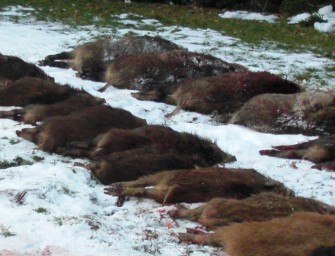 Parkplatzsperre wegen Drückjagd