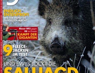 Heft 01/13 ab heute am Kiosk  im neuen Look