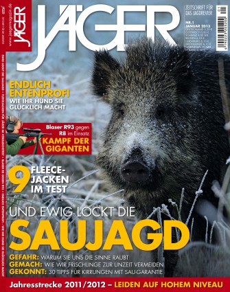 Heft 01/13 ab heute am Kiosk  im neuen Look