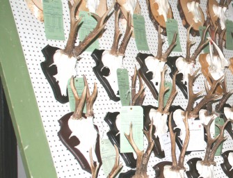 Trophäen im Karton – Bußgeld reduziert