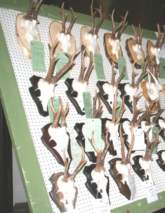 Trophäen im Karton – Bußgeld reduziert