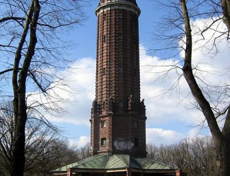 Das etwas andere Berliner Wildschwein