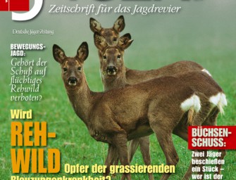 Ausgabe1107: Wird Rehwild Opfer der grassierenden Blauzungenkrankheit?