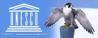 UNSECO – Anerkennung: Großer Erfolg für die Falknerei!