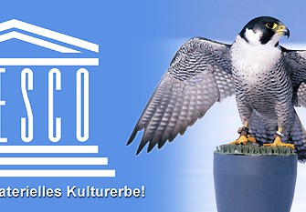 UNSECO – Anerkennung: Großer Erfolg für die Falknerei!