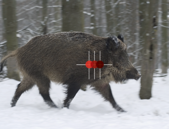 Anbacken – vorhalten – fliegen lassen!