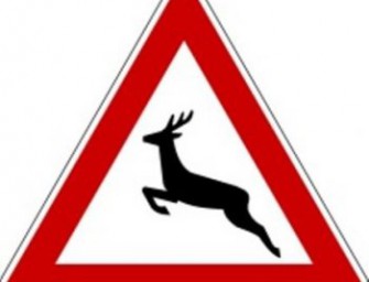 Bock auf Reh, Reh auf Bock