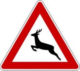 Bock auf Reh, Reh auf Bock