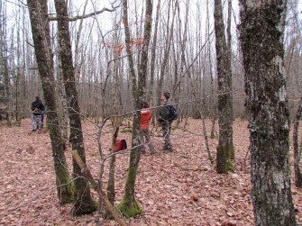 DJV Flyer zum Strassburger Urteil