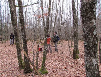 DJV Flyer zum Strassburger Urteil