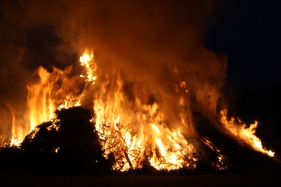 waldbrand.jpg