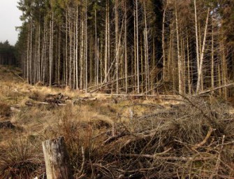 Xynthia´s Nachwehen