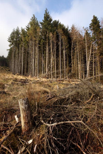 Scenic Wales Offers A Diverse Range Of Holiday Opportunities