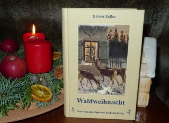 Geschichten aus dem Weihnachtswald