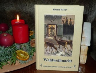 Geschichten aus dem Weihnachtswald