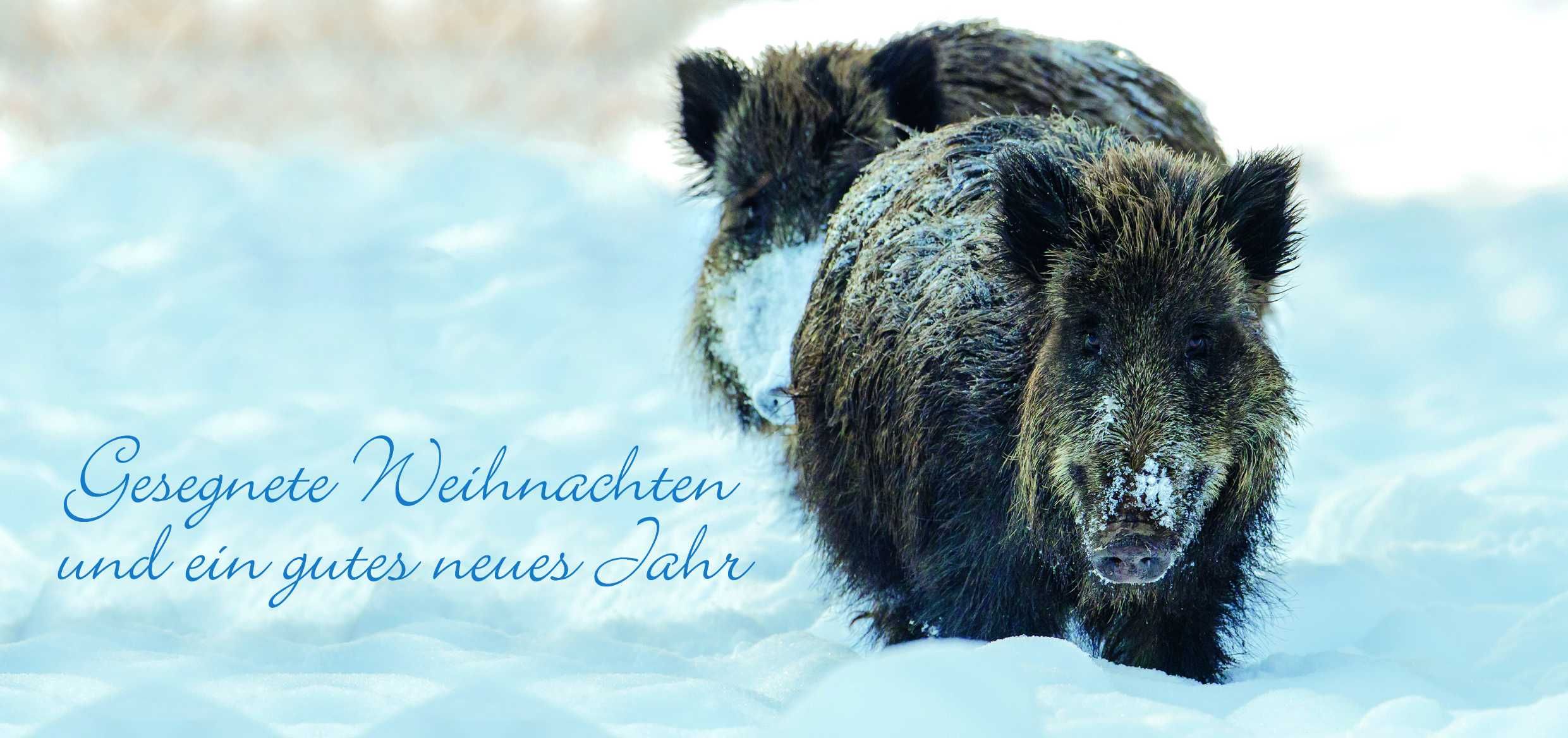 Stilvolle Weihnachtskarten mit Zusatzwirkung Jäger