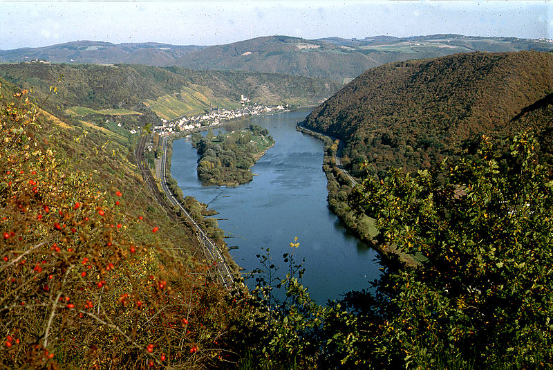 wein-mosel-wikiped_dieter_rogge.jpg