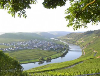 Rentner verprügelt Keiler